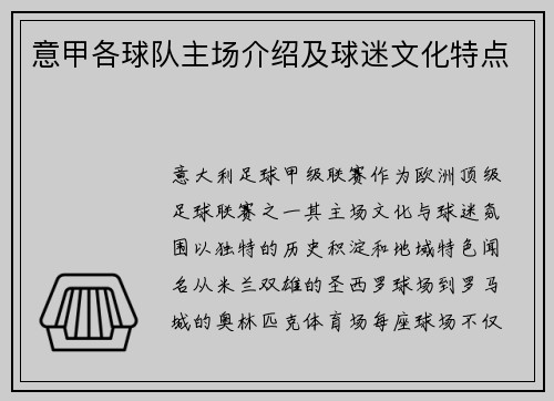 意甲各球队主场介绍及球迷文化特点